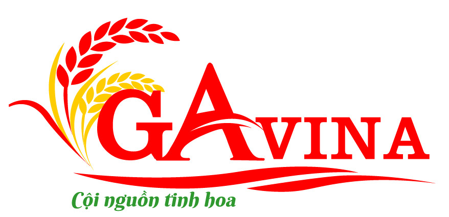 Gavina