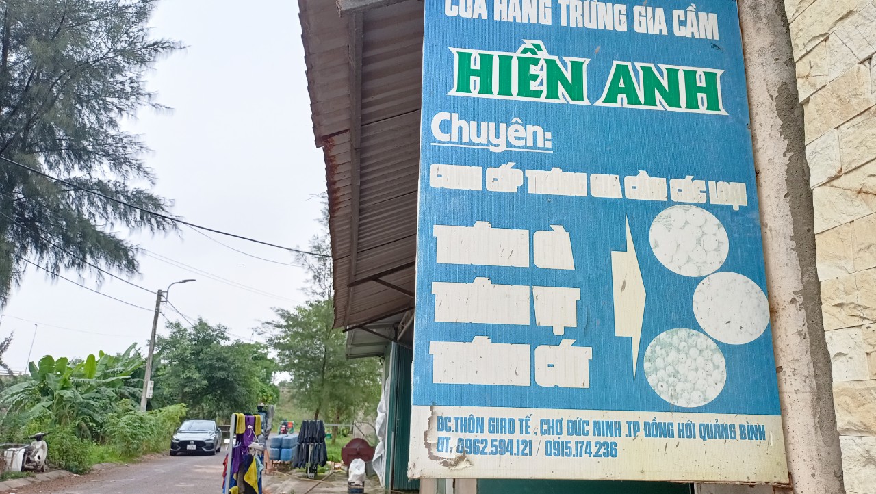 Hộ kinh doanh Hiền Anh